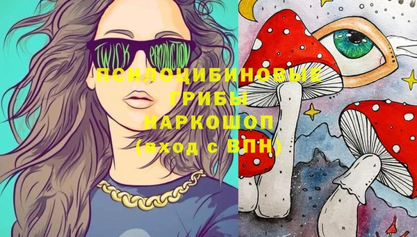 ешки Зеленодольск